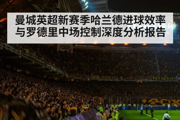 football stadium night crowd